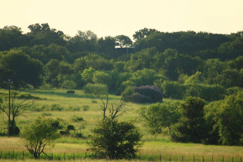 Mineral Wells, TX 76067,T B D HAYES Road