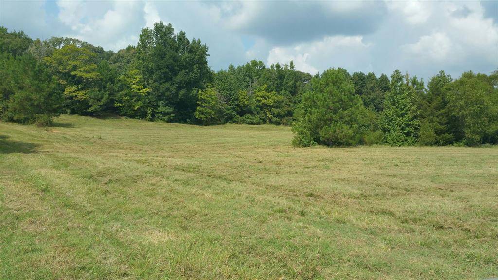 TBD County rd 35 Road, Tyler, TX 75706