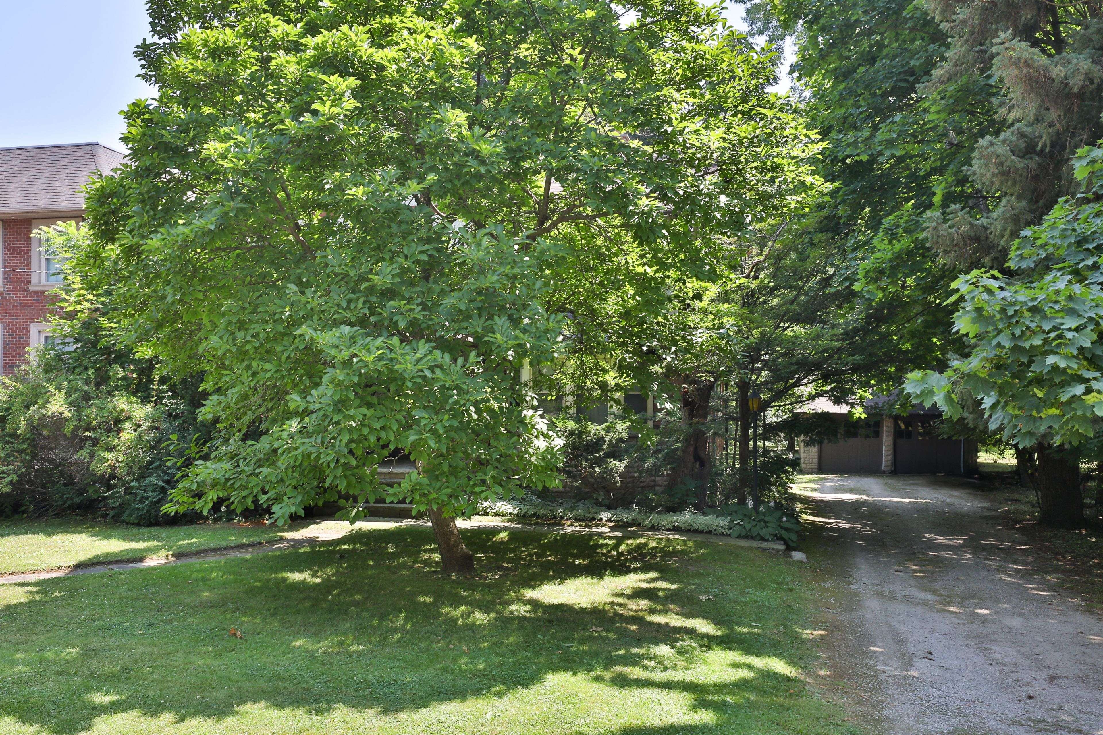 Toronto W08, ON M9A 1G6,61 Burnhamthorpe CRES