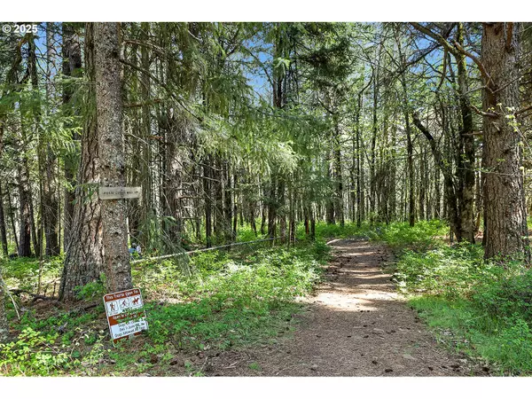 White Salmon, WA 98672,101 COOKE RD