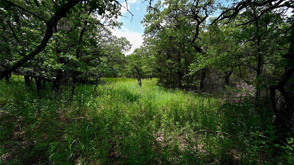 Sunset, TX 76270,169 Post Oak Grove