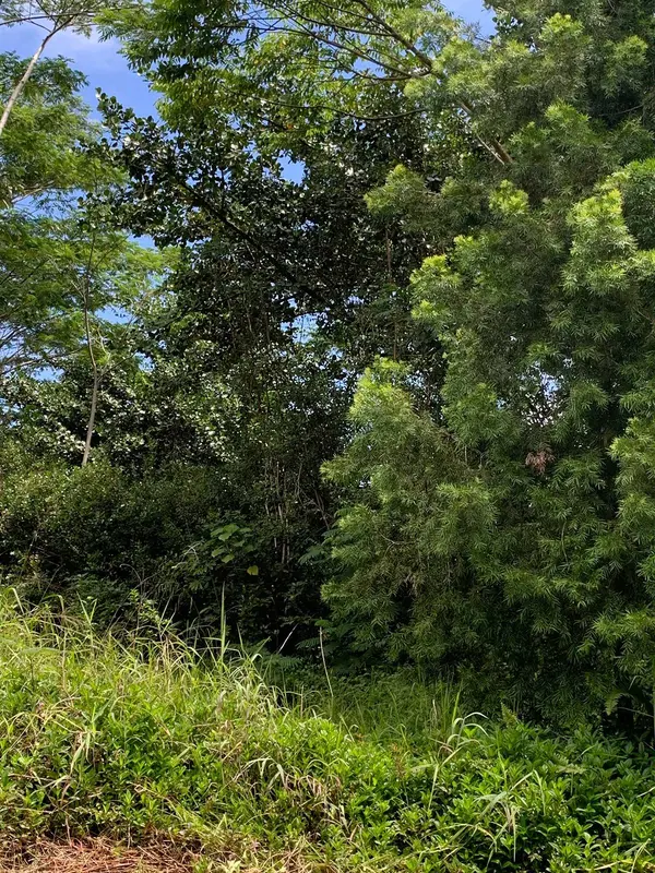 Keaau, HI 96749,15-1747 9TH AVE