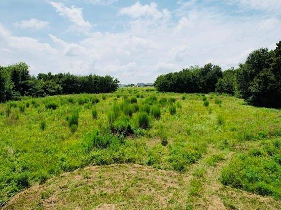 Pickton, TX 75471,2484 Farm Road 269 S