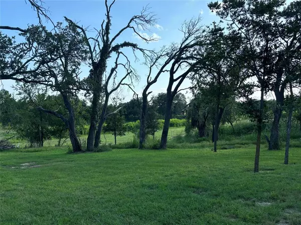 Comanche, TX 76442,TBD LOT 103 DRAKE COURT