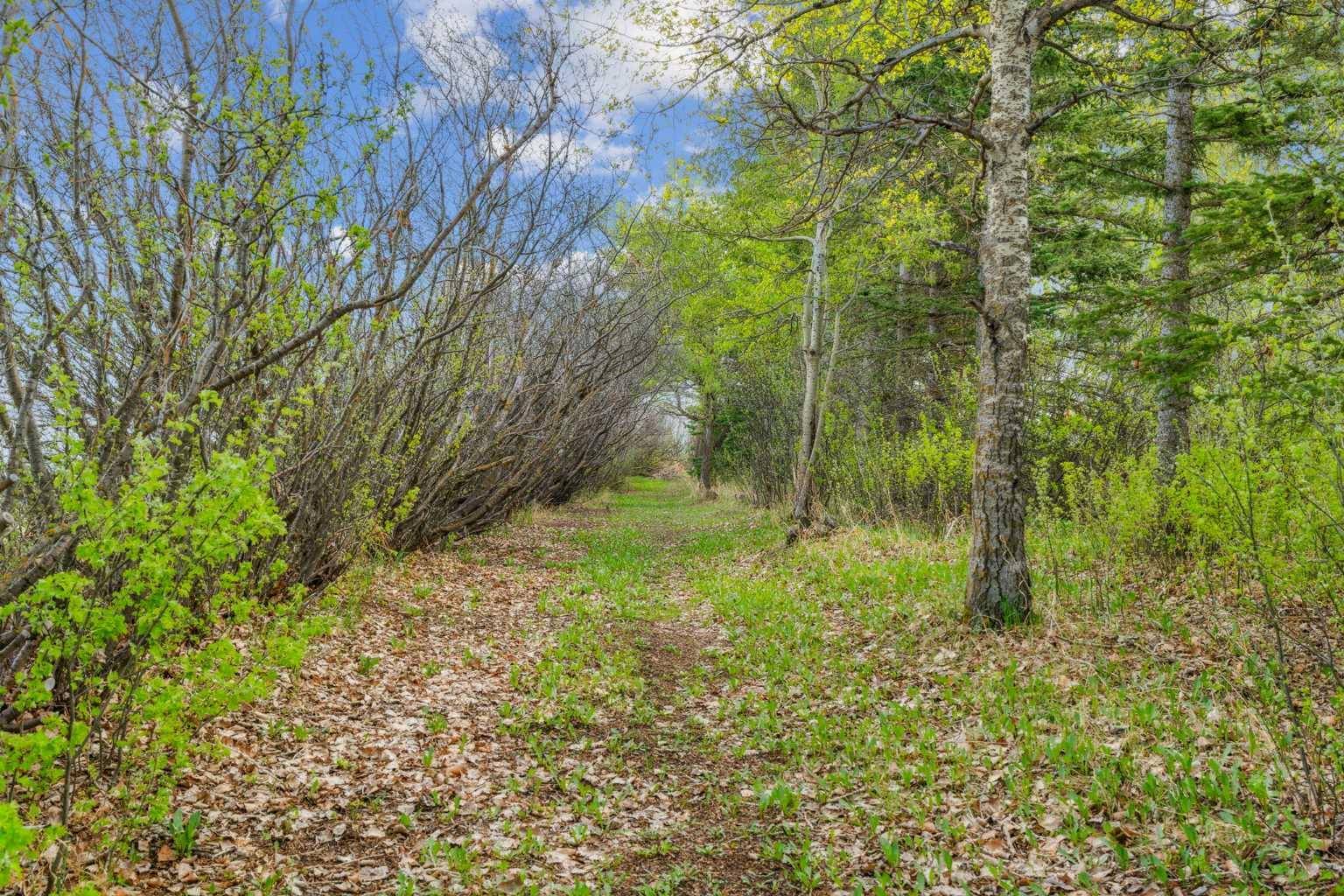 Rural Rocky View County, AB T4B 4Y3,21060 Township Road 272