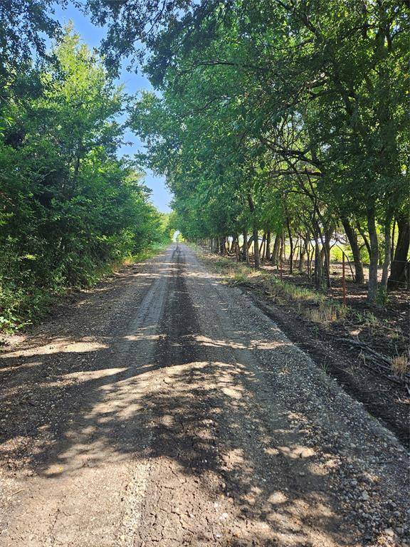 Leonard, TX 75452,TBD CR 4841 Tract 1