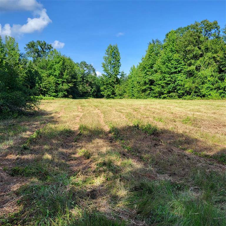 Plain Dealing, LA 71064,0 Dixon Cutoff Rd