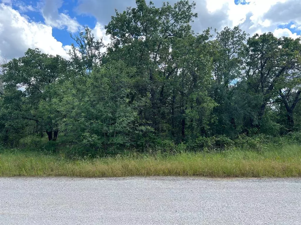 Mineral Wells, TX 76067,153 Julie Drive