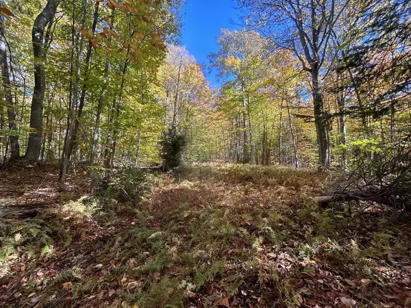 833 Hamilton Lake RD, Machar, ON P0A 1X0