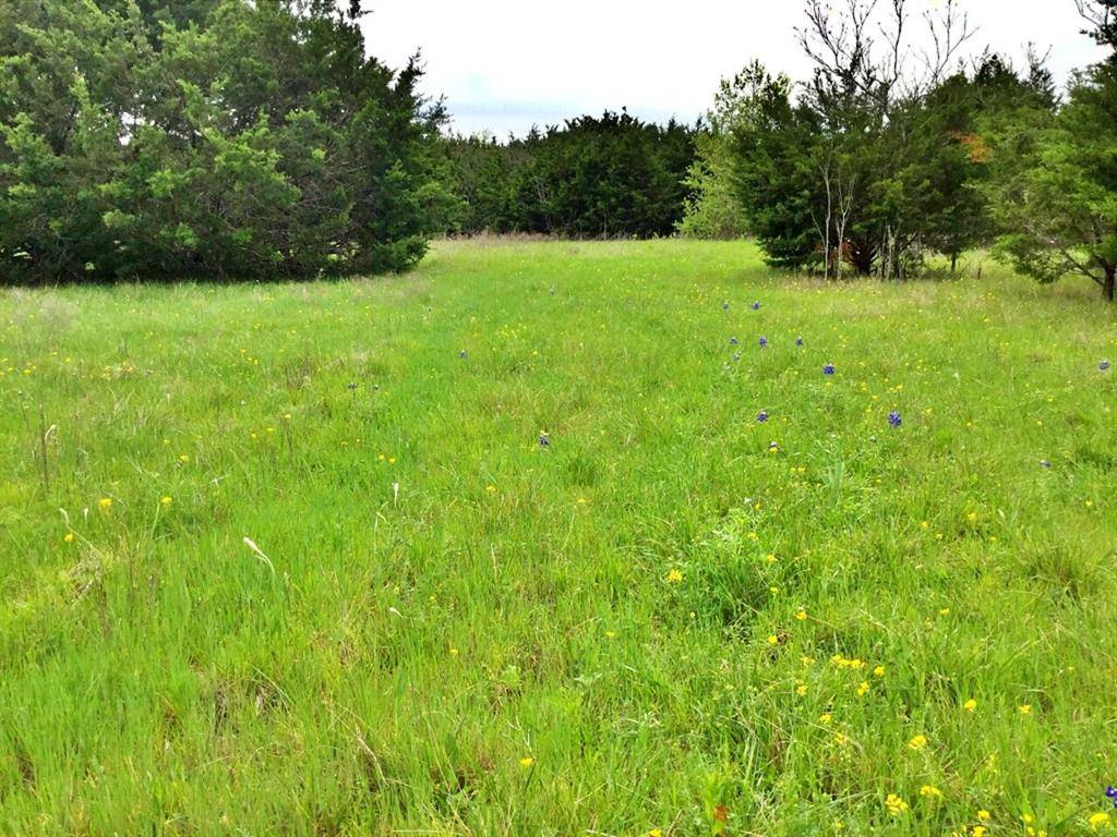 Kopperl, TX 76652,1500 County Road 2850