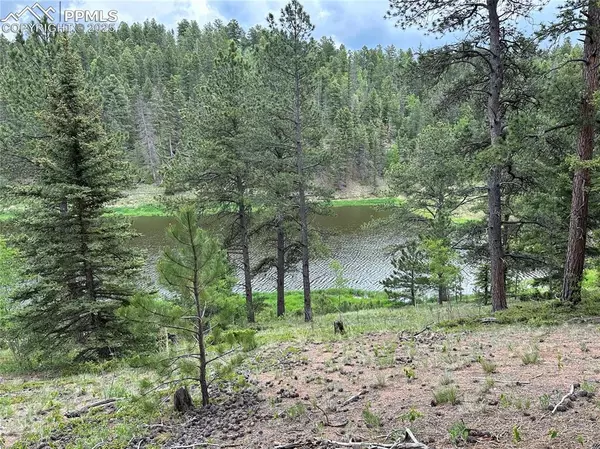 Divide, CO 80814,132 Daniel WAY