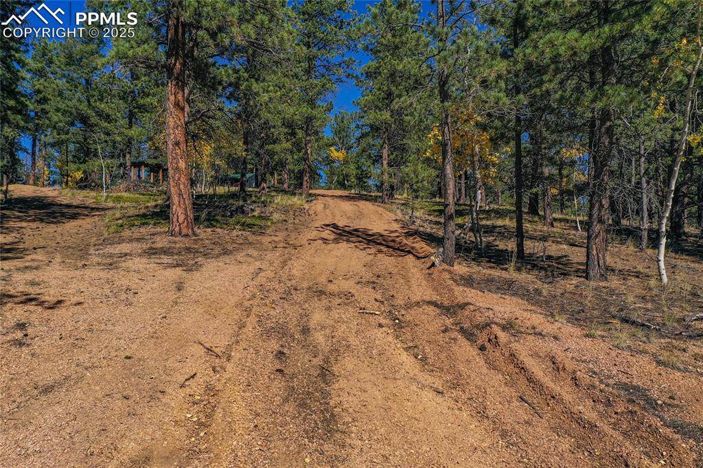 Florissant, CO 80816,3447 Pathfinder RD