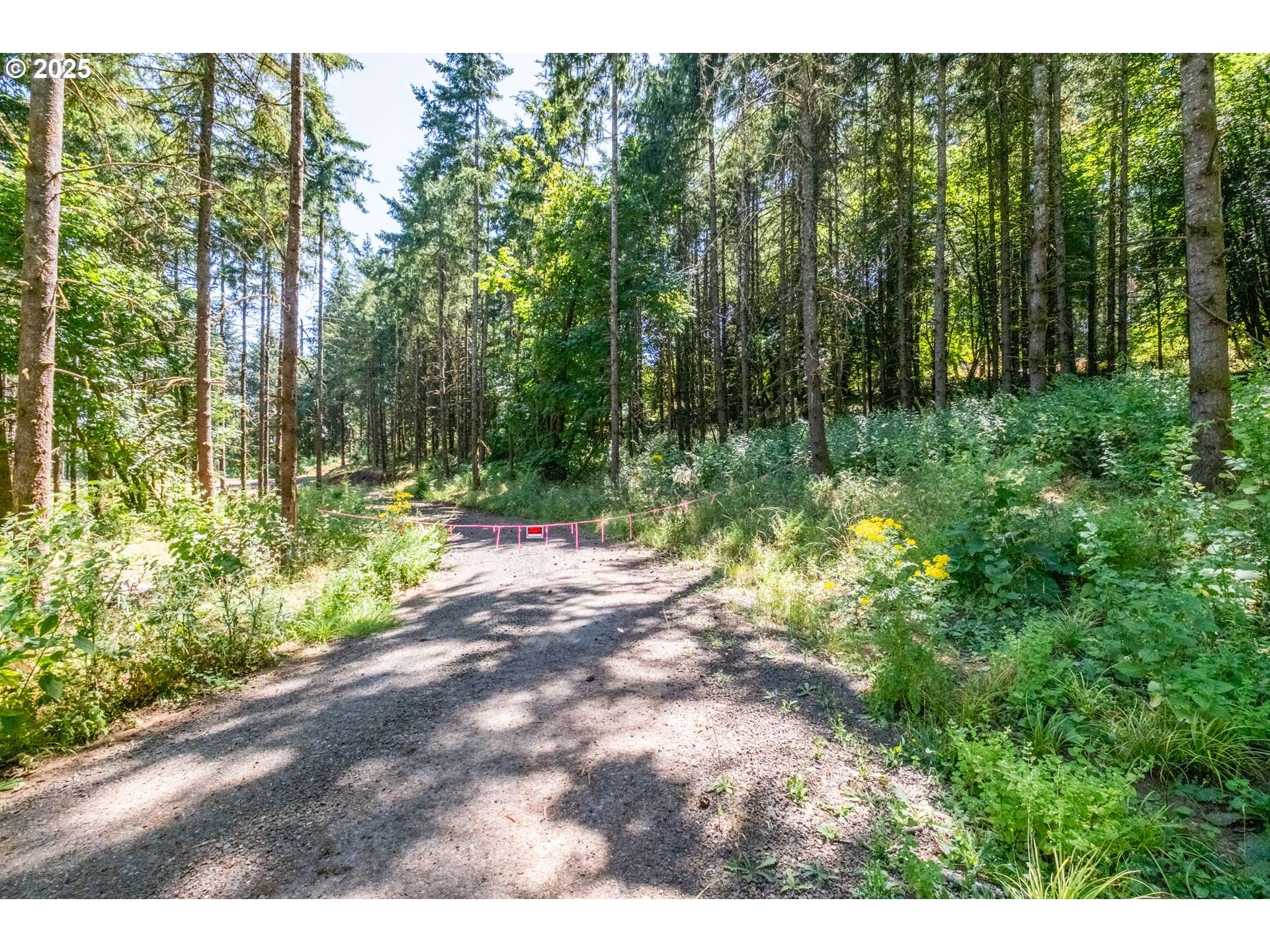 Albany, OR 97322,Scravel Hill RD #103