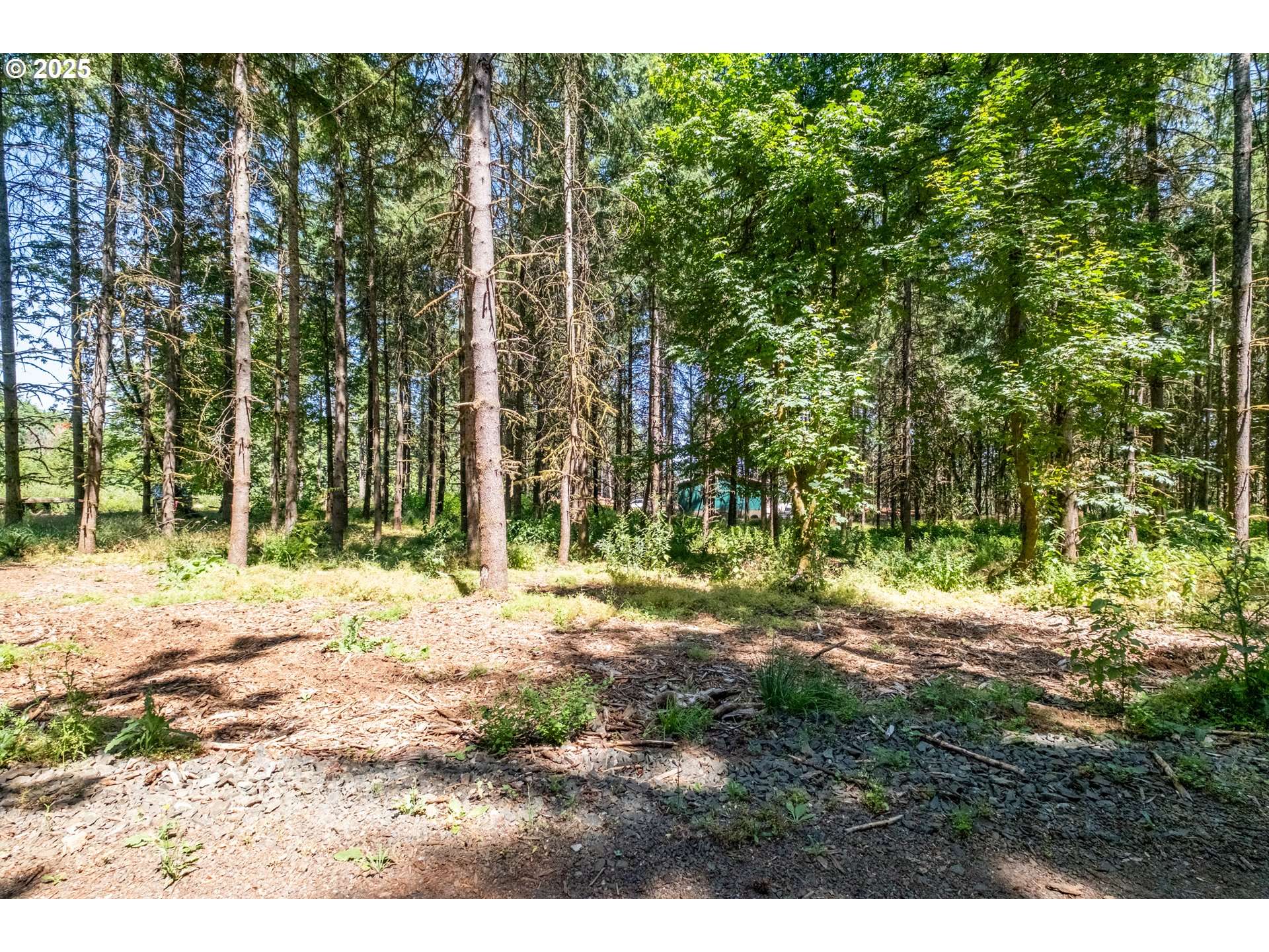 Albany, OR 97322,Scravel Hill RD #103