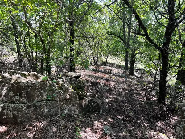 TBD Ranch View Court, Bowie, TX 76230
