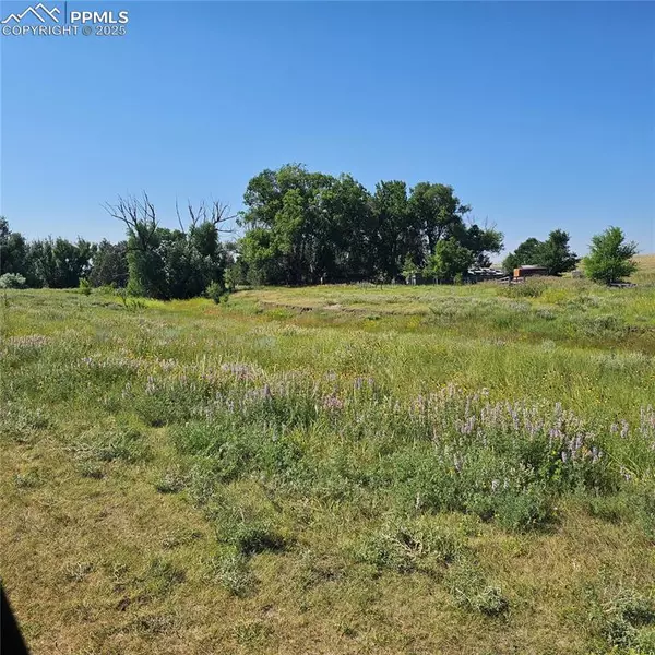 14120 Highway 94, Colorado Springs, CO 80929