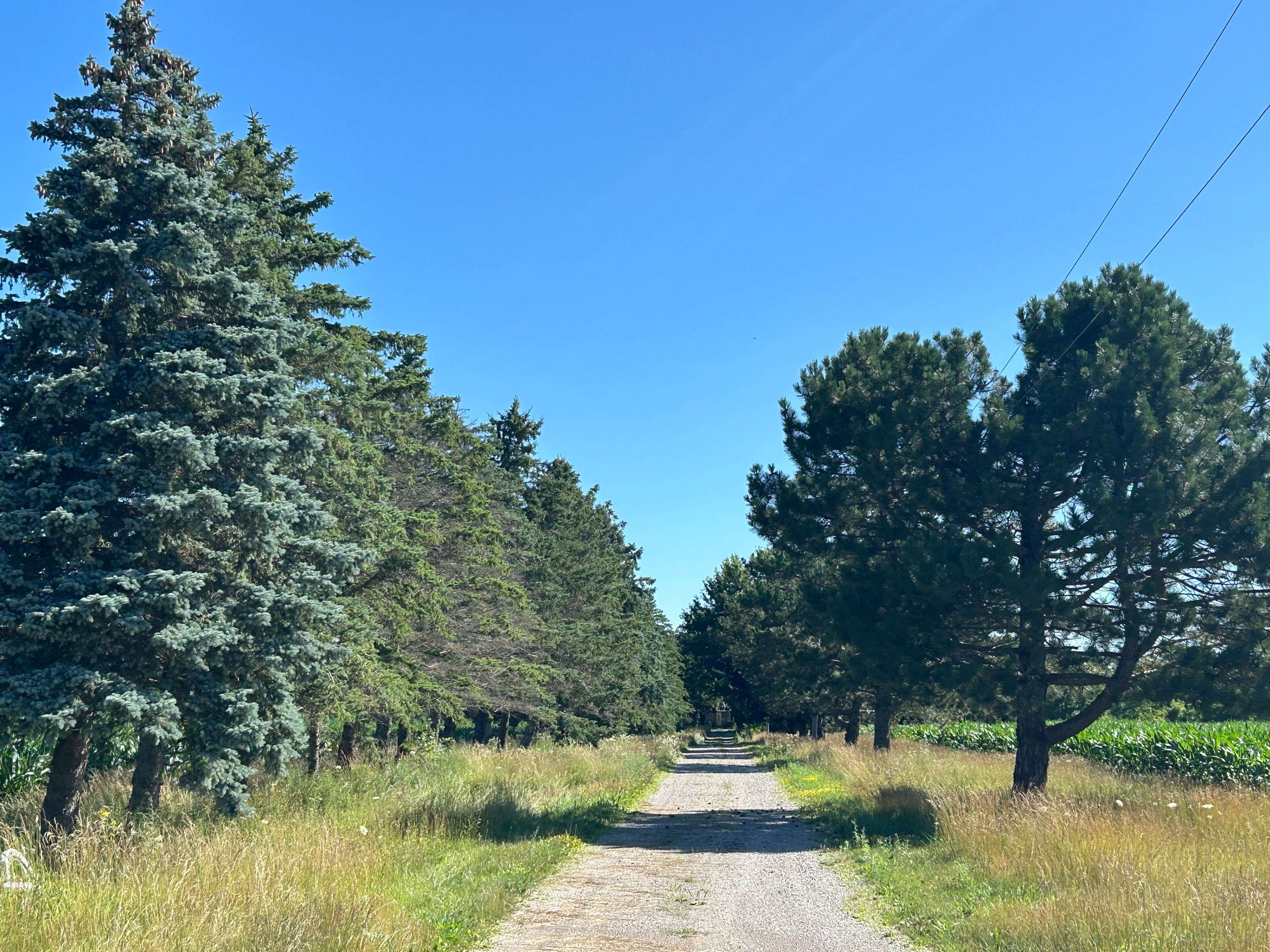 North Middlesex, ON N0M 2K0,26670 Poplar Hill RD
