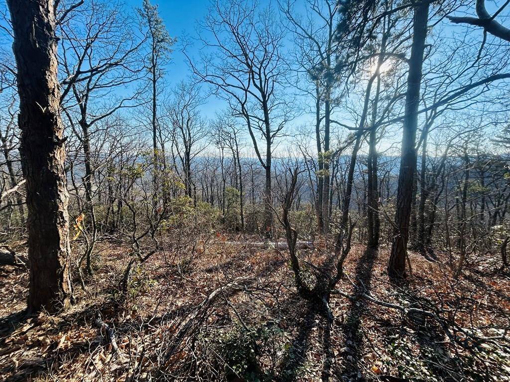 Fancy Gap, VA 24328,TBD Reflections Point Trl