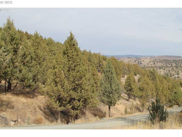 Canyon City, OR 97820,0 Cougar Ridge Road