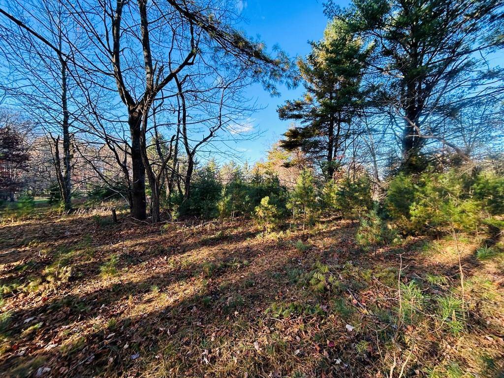Galax, VA 24333,TBD Overlook Lane
