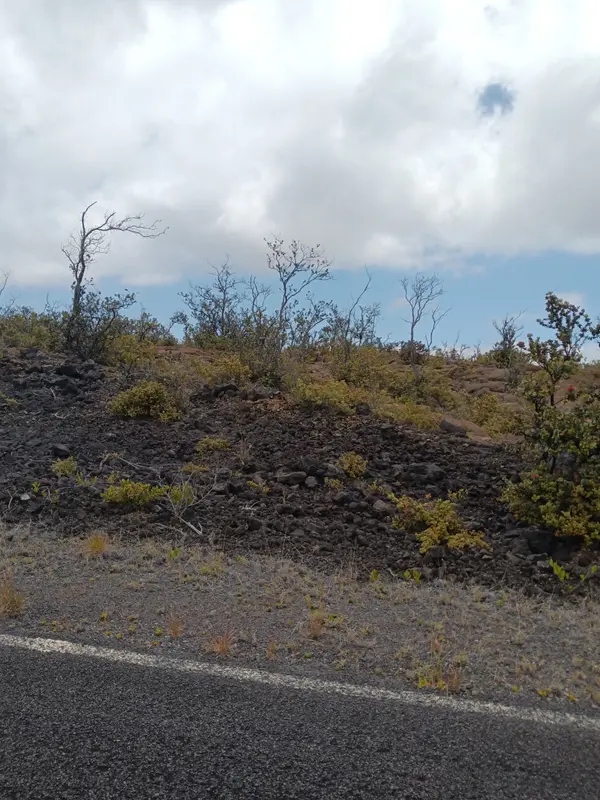 Ocean View, HI 96737,IWALANI PKWY