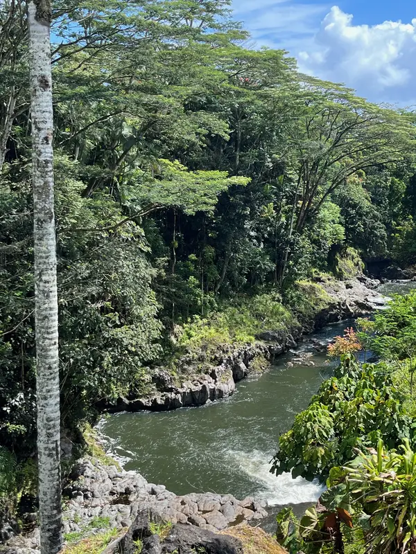 254 KAIULANI ST, Hilo, HI 96720