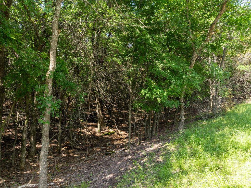 Whitney, TX 76692,17149 Woodlawn Drive