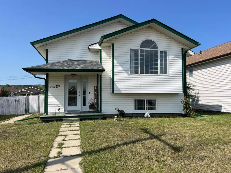 691 Elgin Hill RD, Drumheller, AB T0J0Y6