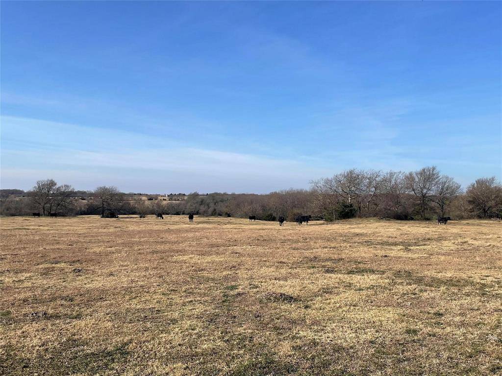 Roxton, TX 75477,26700 County Road