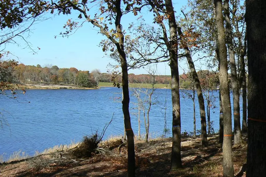 9122 Safari Bluff, Larue, TX 75770