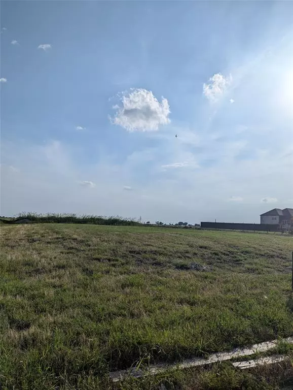Gunter, TX 75058,1129 MACGREGOR Lane
