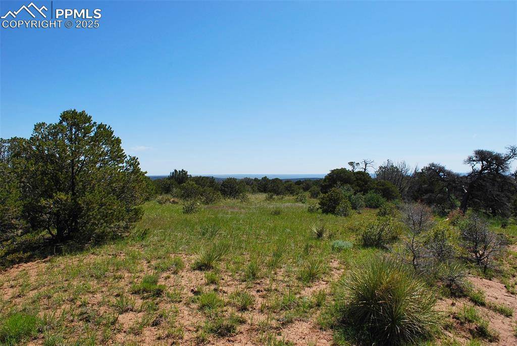 Walsenburg, CO 81089,Williams RD