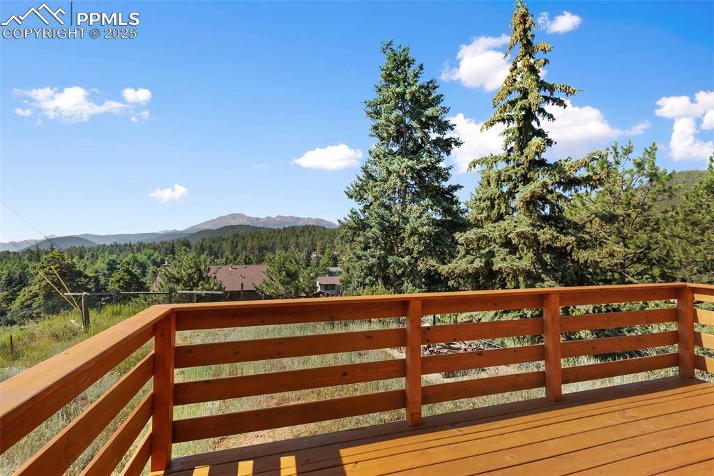 Woodland Park, CO 80863,305 Dewell RD