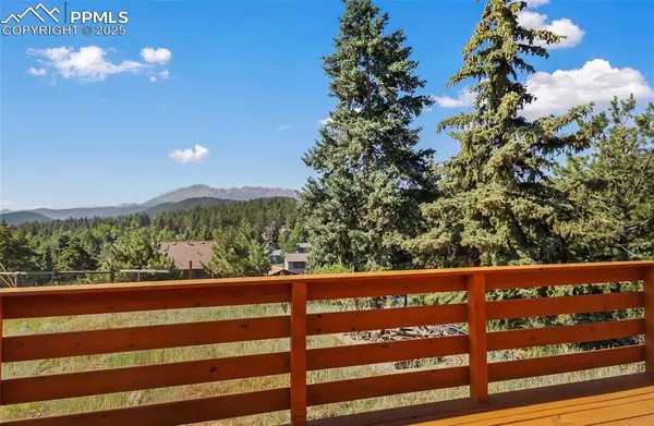 Woodland Park, CO 80863,305 Dewell RD