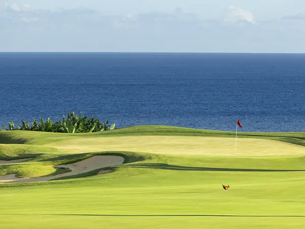 2970 KAHALAWAI ST, Koloa, HI 96756