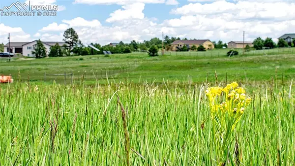 17255 Forest Green WAY, Elbert, CO 80106