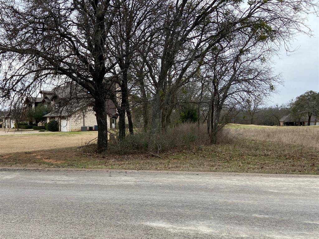 Whitney, TX 76692,27205 Meadowmore Drive