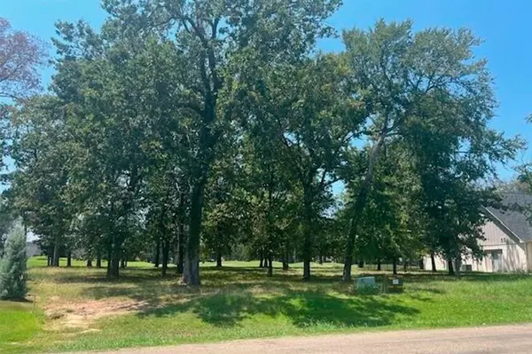Mabank, TX 75156,213 Saint Andrews Drive
