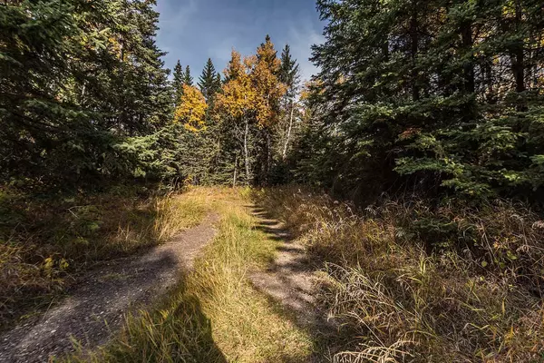 Rural Red Deer County, AB T4G0M9,Range Road 12