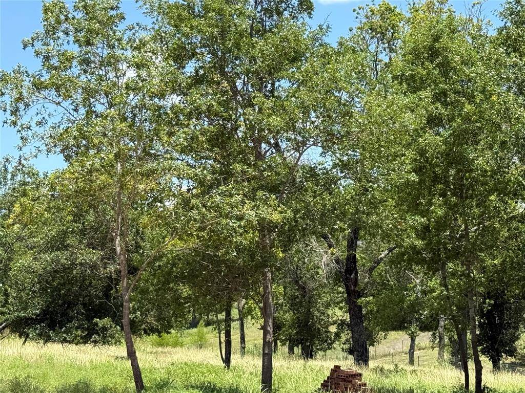 Poolville, TX 76487,301 Shadle Road
