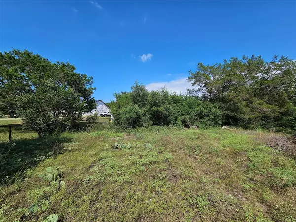 Weatherford, TX 76087,TBD Lakeview Trail
