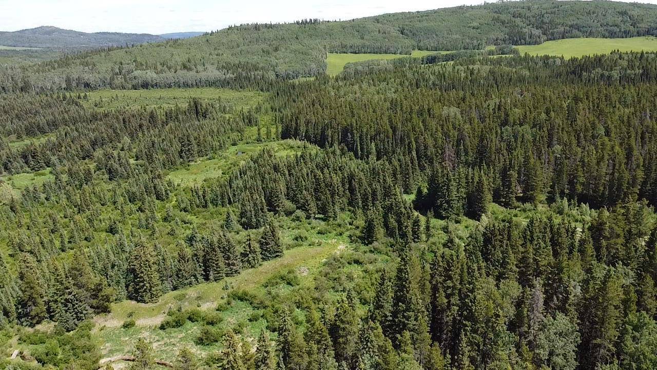 Bragg Creek, AB T0L 0K0,125 Elk Valley CRES