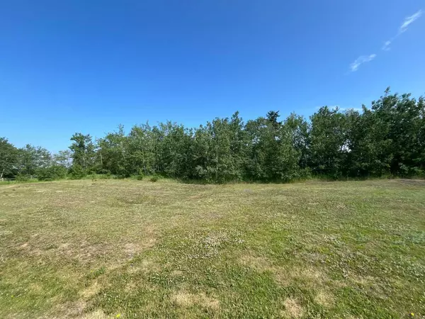 Rural Ponoka County, AB T4J 1R3,12 Wolf Run Drive