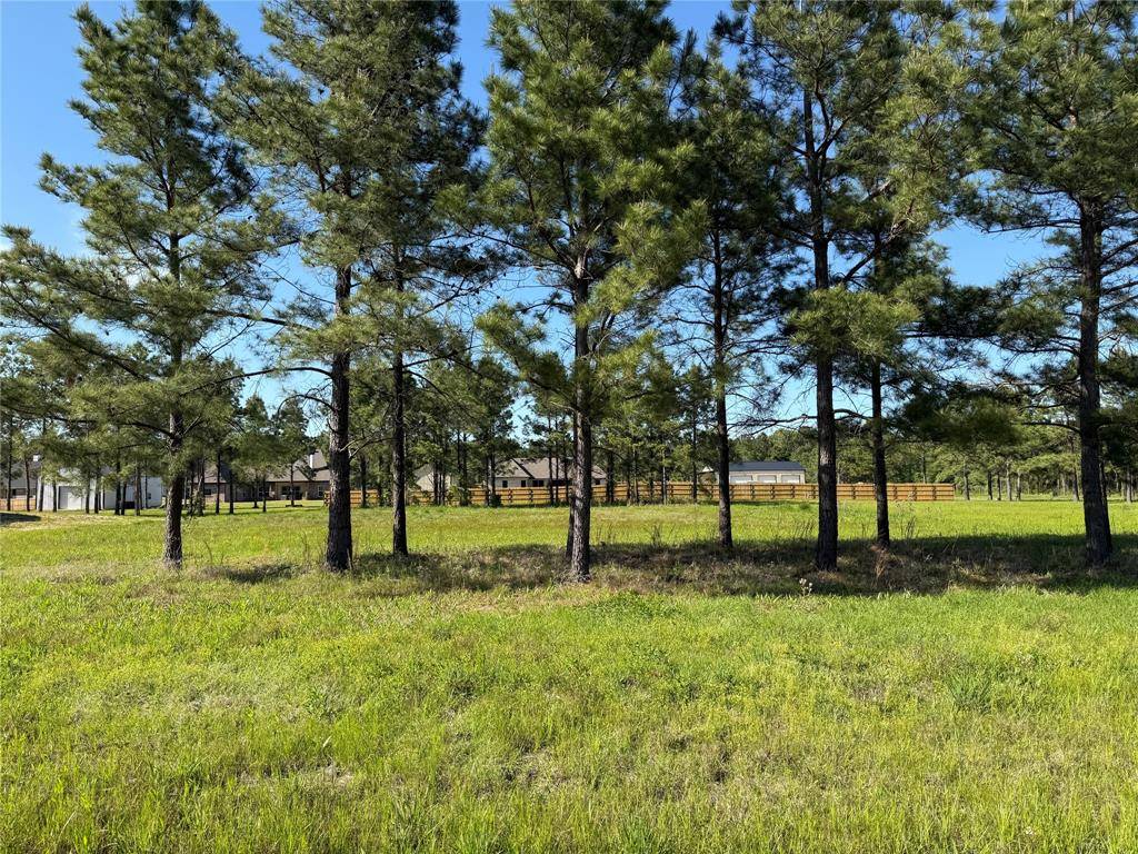 112 Faith Plantation Drive #39, Princeton, LA 71067