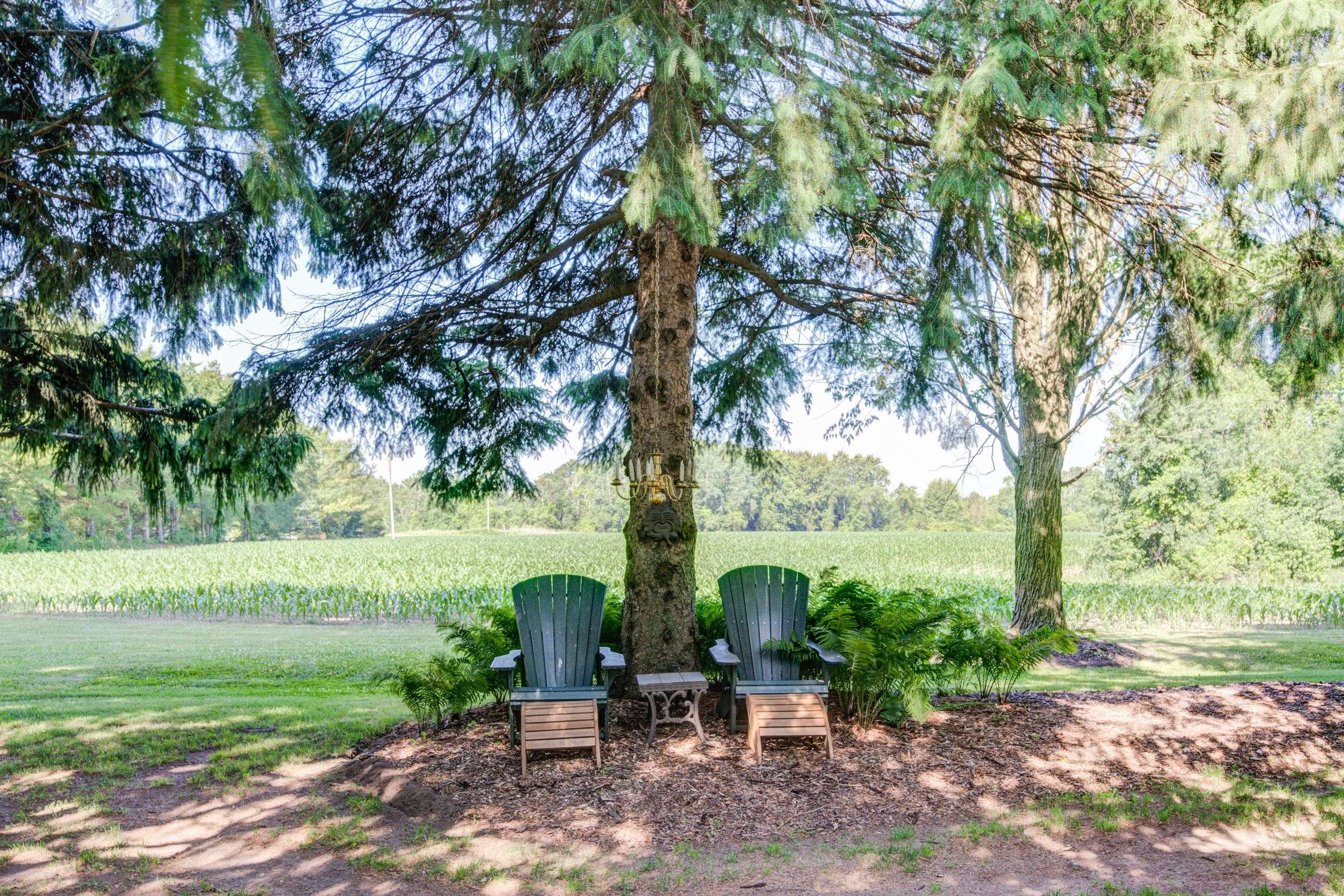 Blandford-blenheim, ON N0J 1M0,786153 Township Rd 6 RD