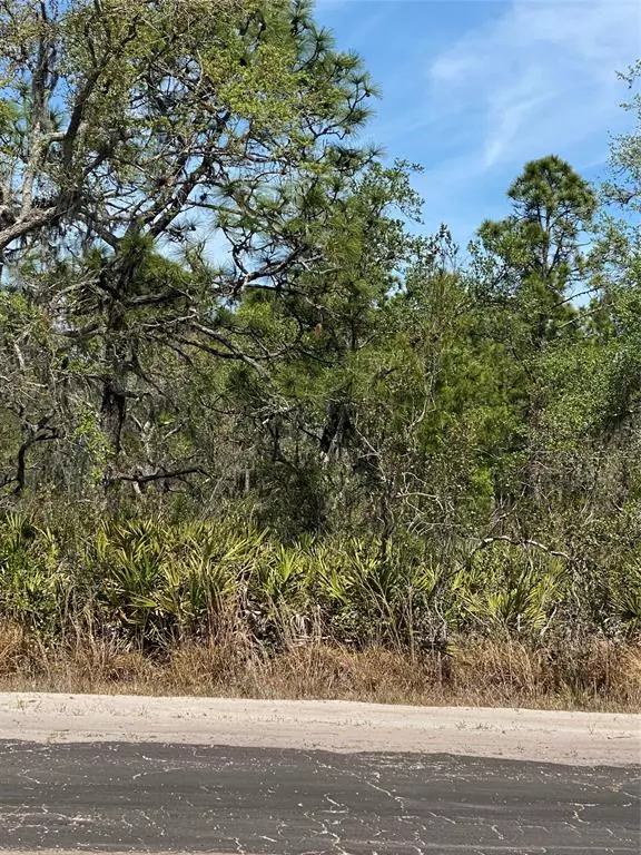 Lot 12 Blk 234 Palm Ave, Indian Lake Estates, FL 33855