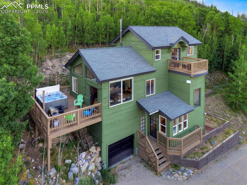 1095 Quartzville RD, Alma, CO 80420