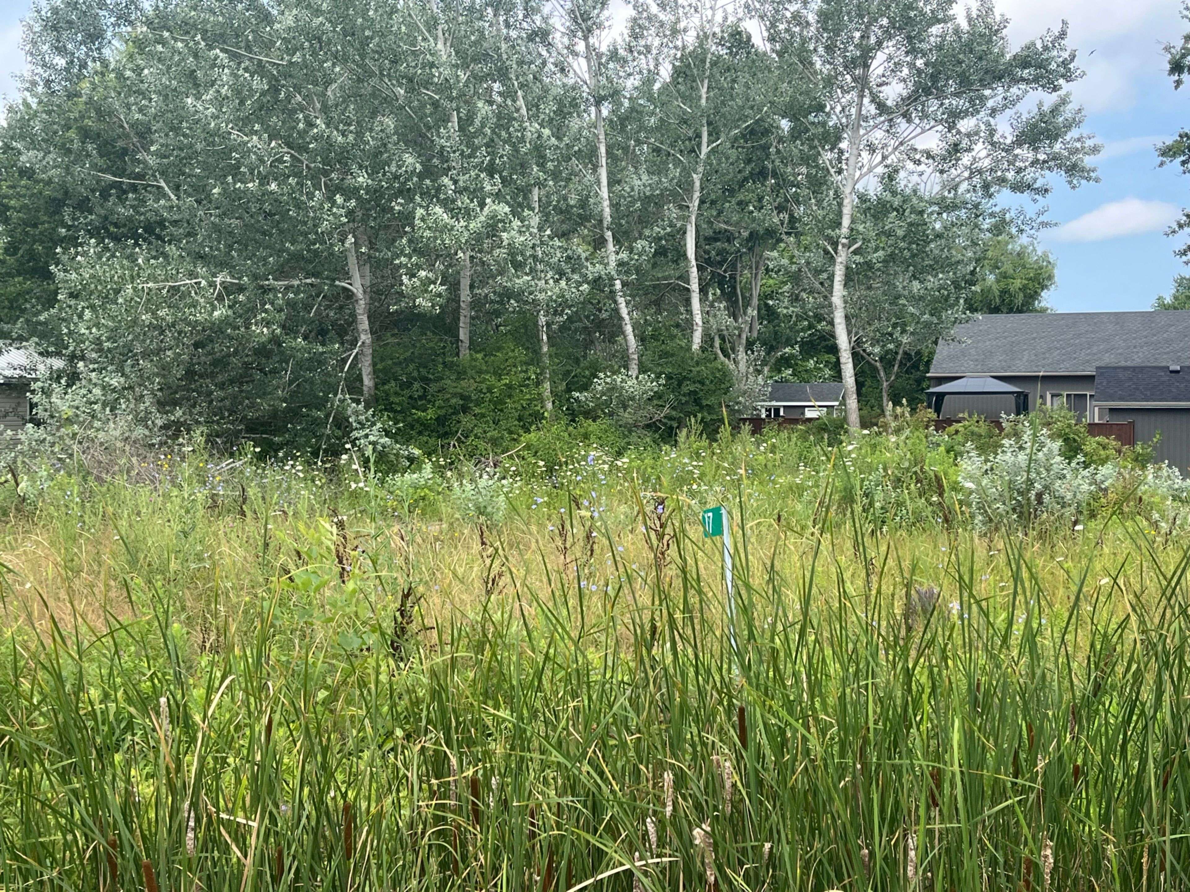 17 Dickhout RD, Haldimand, ON N0A 1K0