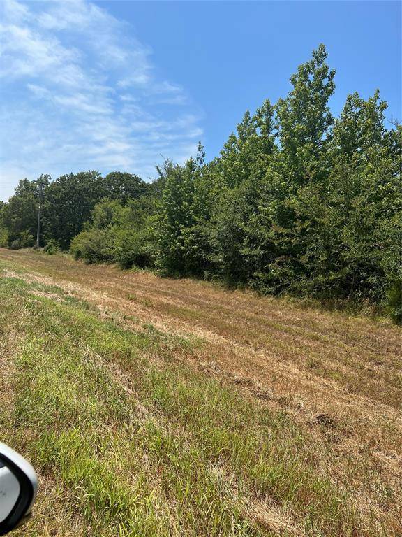 000 FM 3042, Pittsburg, TX 75686