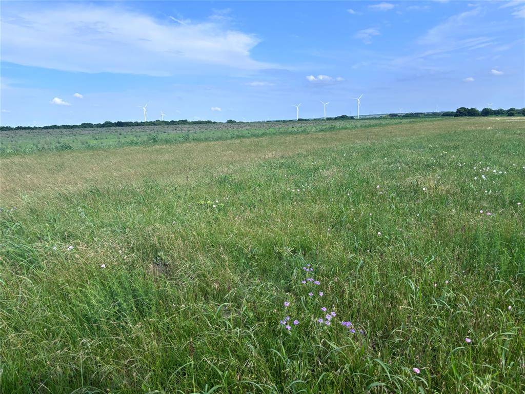Mount Calm, TX 76673,TBD HCR 3254 #4